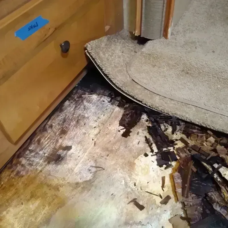 Wood Floor Water Damage in Monroe, IA